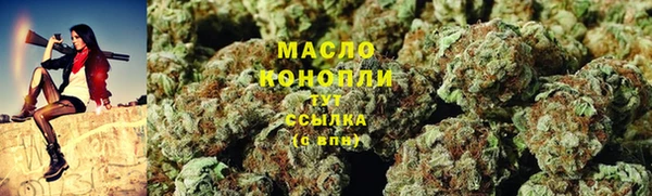мдпв Богородицк