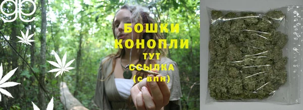 молекула духа Богданович