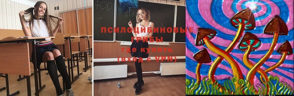 молекула духа Богданович