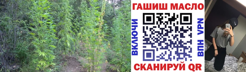 Дистиллят ТГК THC oil  Няндома 