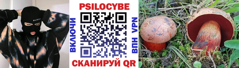 купить   Няндома  Псилоцибиновые грибы Magic Shrooms 