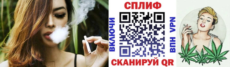 Каннабис план Няндома